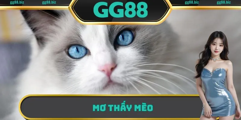 Mơ thấy mèo